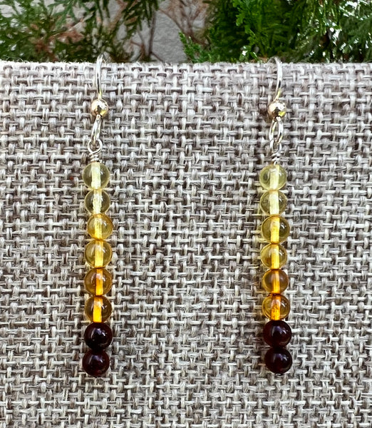 Ombre Amber Earrings